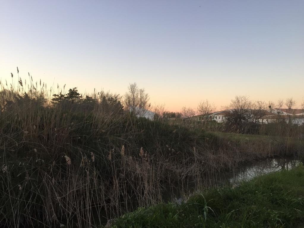 Mazet L'Etrier Villa Saintes-Maries-de-la-Mer Bagian luar foto